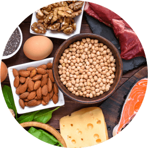 タンパク質 イメージ