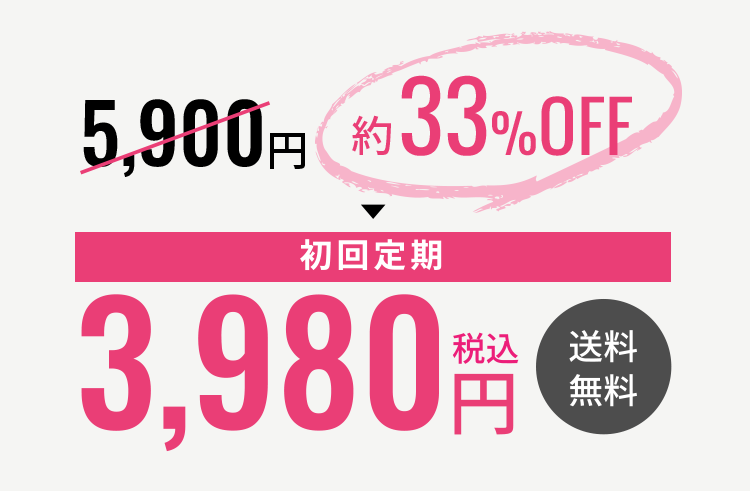 An re PROTEIN アンリプロテイン 初回定期3,980円税込